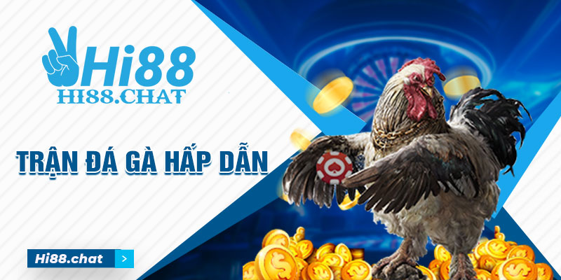 Giải Mã Sức Hút Khó Cưỡng Lại Của Đá Gà Trực Tuyến Cựa Dao 3 Đá Gà trực tuyến cựa dao quy tụ vô số dòng gà đẳng cấp nhất hiện nay