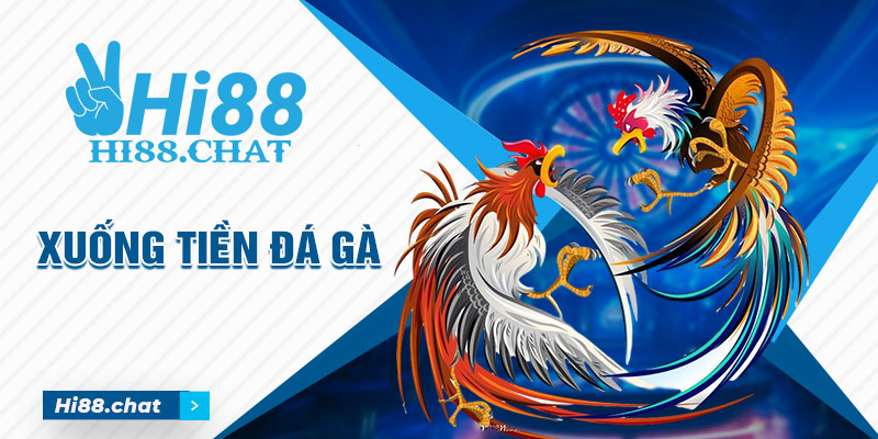 Giải Mã Sức Hút Khó Cưỡng Lại Của Đá Gà Trực Tuyến Cựa Dao 1 Đá Gà trực tuyến cựa dao dễ xuống tiền để đầu tư sinh lời hơn